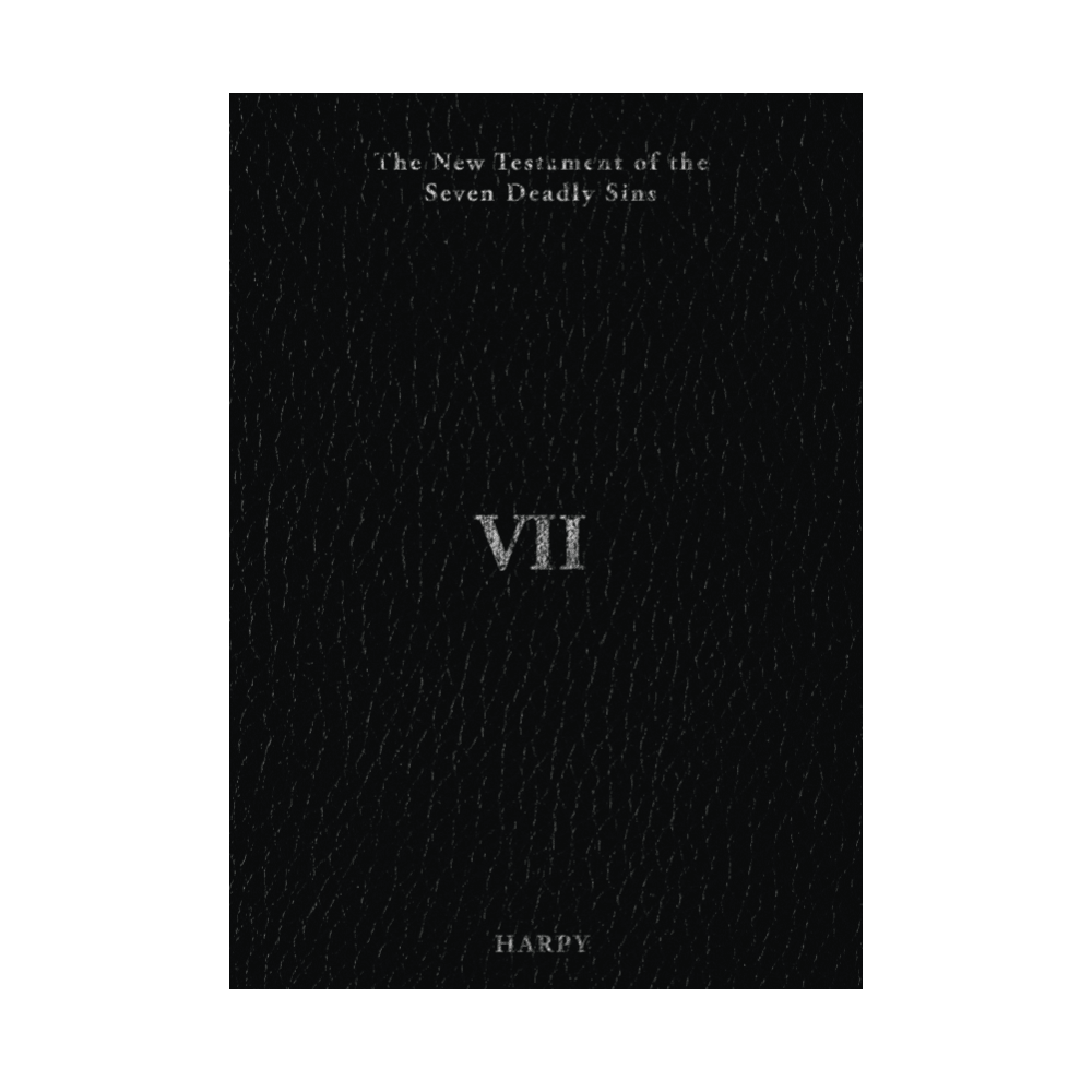 VII ZINE