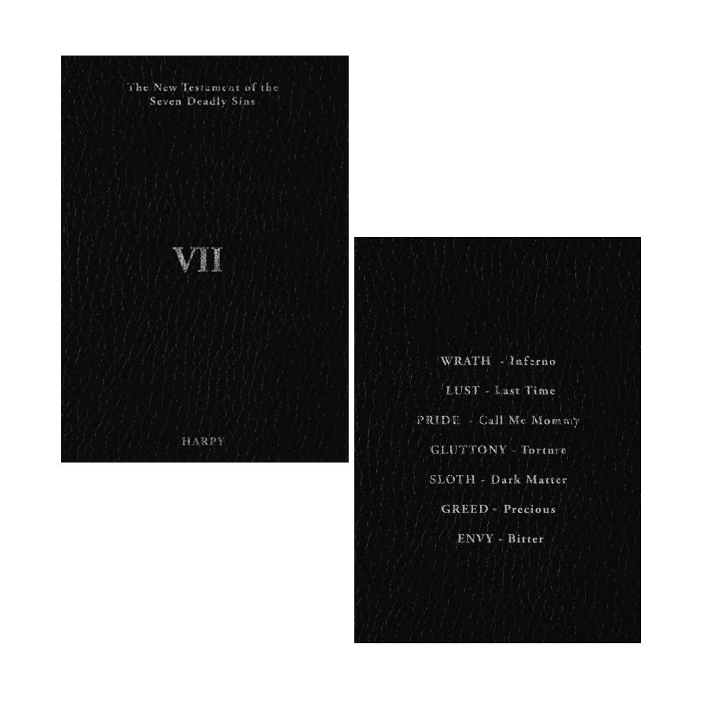 VII ZINE